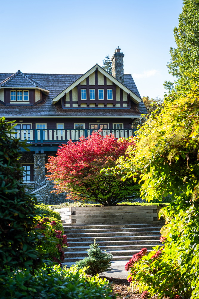 Deer Lake 公园,都铎式老宅与红枫(Tudor-style house and red maple, Deer Lake Park, Burnaby),秋季枫叶