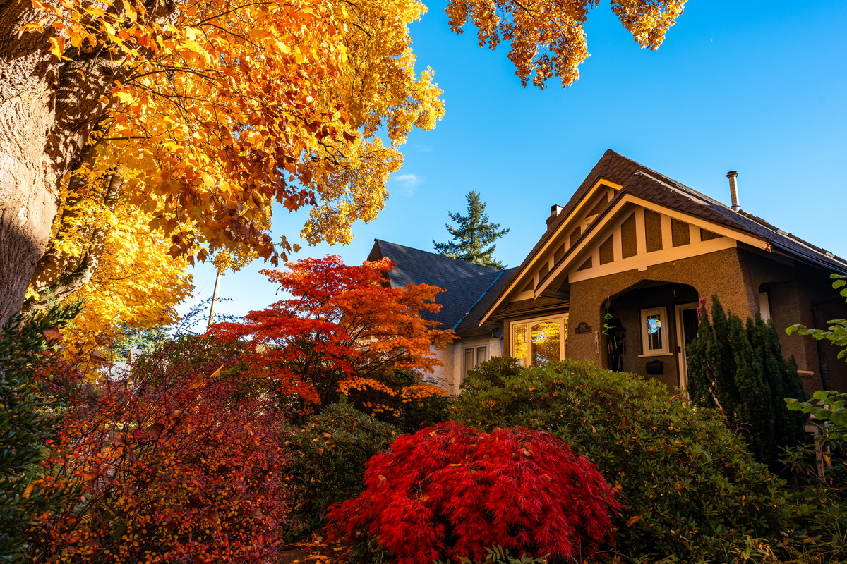 W 10th Ave · 老屋与秋色 · Craftsman house in autumn, W 10th Ave, Vancouver — W 10th Ave, Vancouver, BC