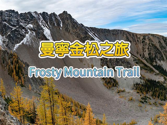 加拿大BC省曼宁公园金松之旅